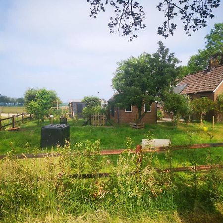 Trekkershut - Tiny House - Hikers Cottage Wijster Eksteriør billede