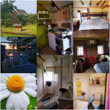 Trekkershut - Tiny House - Hikers Cottage Wijster Eksteriør billede