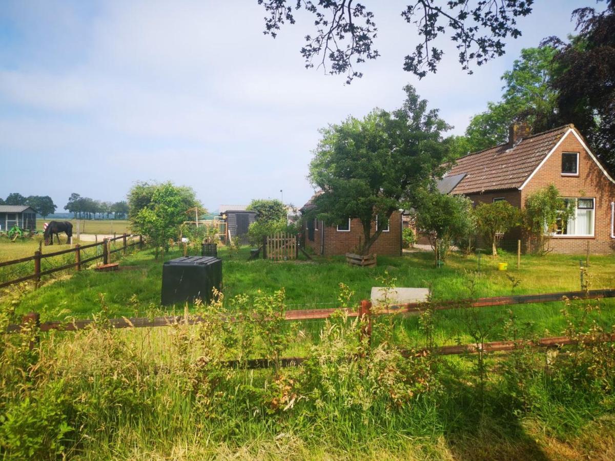 Trekkershut - Tiny House - Hikers Cottage Wijster Eksteriør billede
