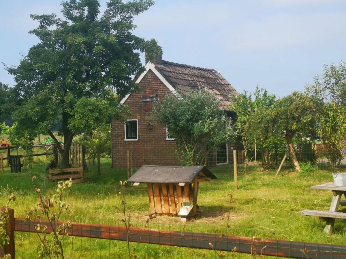 Trekkershut - Tiny House - Hikers Cottage Wijster Eksteriør billede