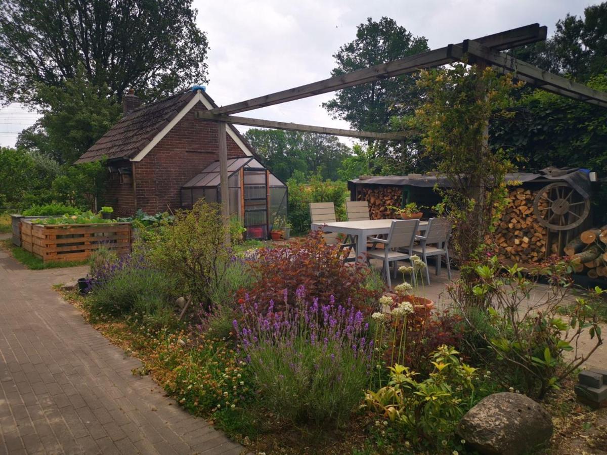 Trekkershut - Tiny House - Hikers Cottage Wijster Eksteriør billede