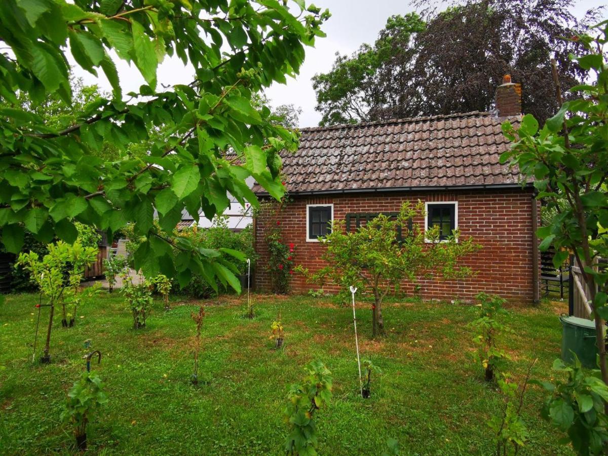 Trekkershut - Tiny House - Hikers Cottage Wijster Eksteriør billede