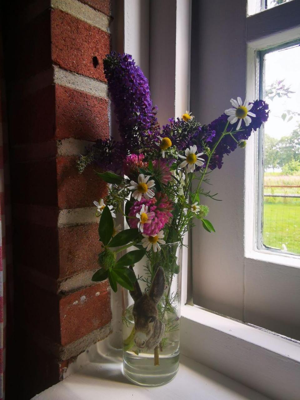 Trekkershut - Tiny House - Hikers Cottage Wijster Eksteriør billede
