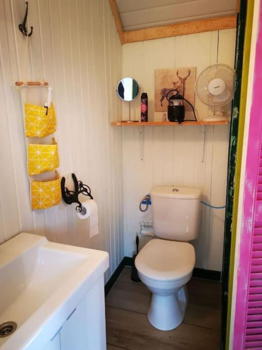 Trekkershut - Tiny House - Hikers Cottage Wijster Eksteriør billede